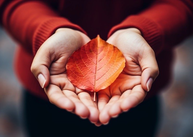 Unlocking Talent Growth: Essential Tools for Success